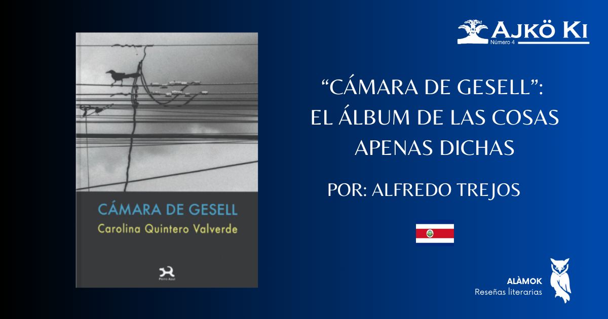 CÁMARA DE GESELL: EL ÁLBUM DE LAS COSAS APENAS DICHAS  | REVISTA AJKÖ KI No 4